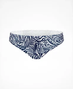 Brownlee Brief II - Ali