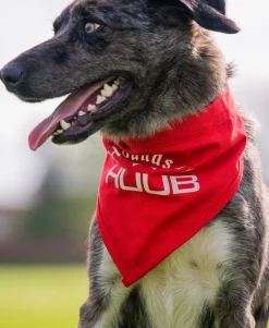 Pet Bandana - Hounds Of HUUB