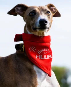 Pet Bandana - Hounds Of HUUB